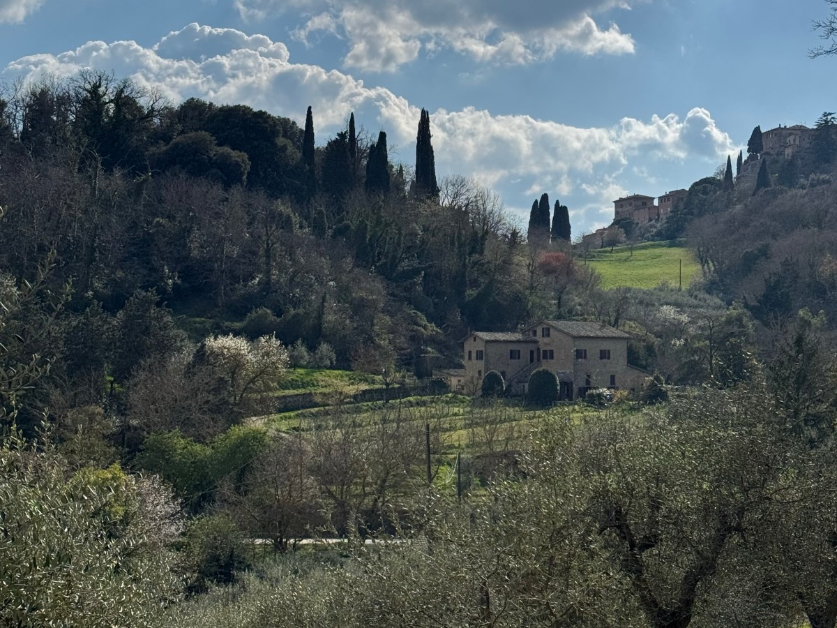 Week 2 in Montepulciano – Saving the Planet, Tombola, Strikes &&nbsp;Pienza